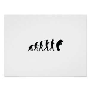 Póster Evolución de Manatee