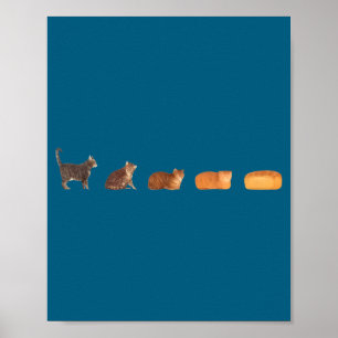 Póster Evolución de pan de hogaza de gato, divertida mamá