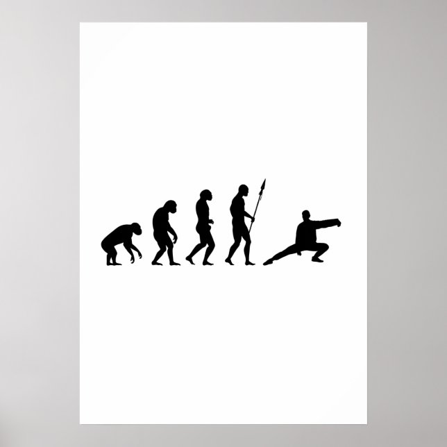 Póster evolución de tai chi (Frente)