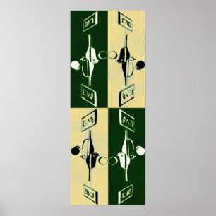 Póster Evolución de Yin y de Yang