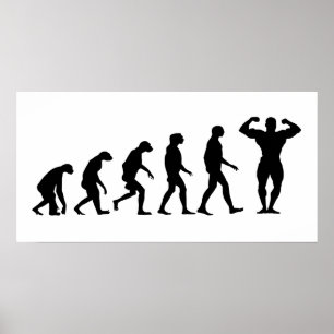 Póster Evolución del Bodybuilding