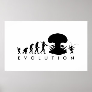 Póster Evolución del Hombre y la Cucaracha Gráfico Divert
