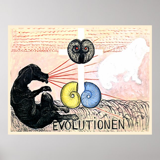 Póster Evolución nº 5, Grupo VI,  (Frente)