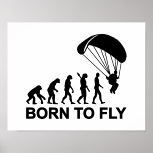 Póster Evolución Skydiving llevado para volar