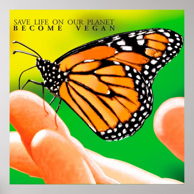 Póster Evolucionar a la no violencia. Conviértete en Vega (Frente)