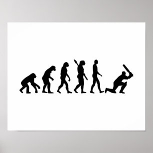 Póster Evolution Cricket