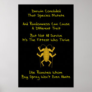 Póster Evolution Limerick