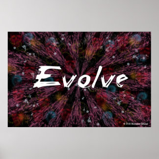 Póster Evolve Art Poster
