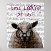 Ewe Looking at Me DeNiro Sheep