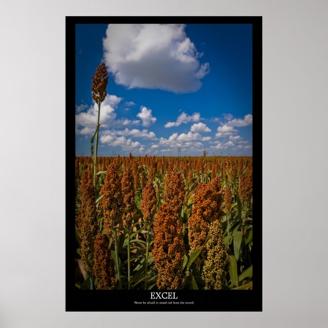 Póster Excel (Frente)