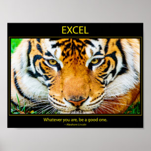 Póster Excel