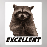 Excelente Raccoon