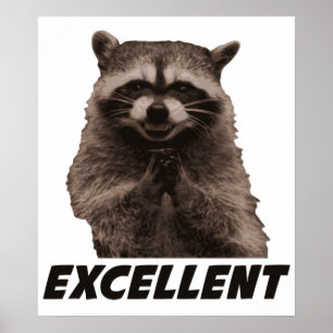 Póster Excelente Raccoon