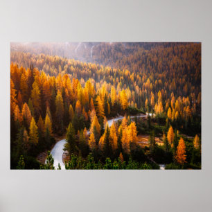 Póster Excelentes vistas a la sinuosa carretera. Dramátic