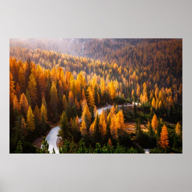 Póster Excelentes vistas a la sinuosa carretera. Dramátic (Frente)