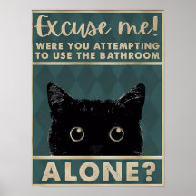 ¡Excúlpenme! ¿El baño solo? Gracioso gato oscuro