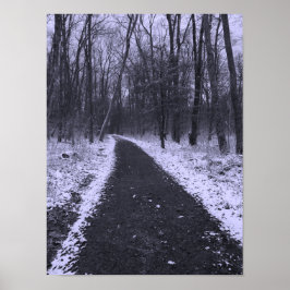 Póster Excursión de invierno