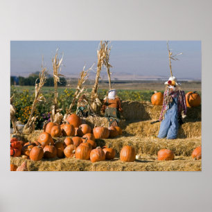 Póster Exhibición de calabaza con pacas de heno y espanta