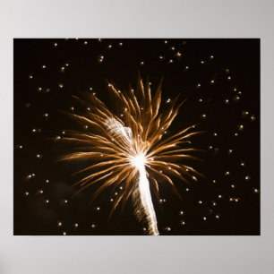 Póster Exhibición de fuegos artificiales en el río Savann