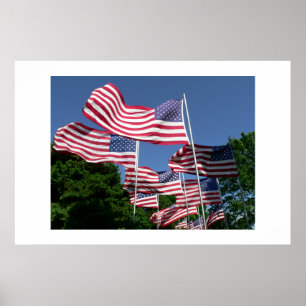 Póster Exhibición de la bandera americana