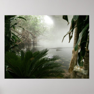 Póster Exhibición del bosque tropical zoológico