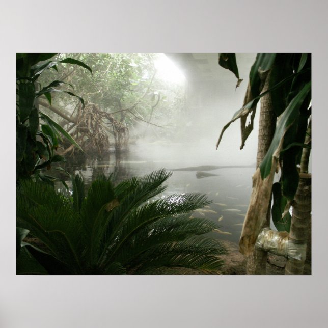 Póster Exhibición del bosque tropical zoológico (Frente)