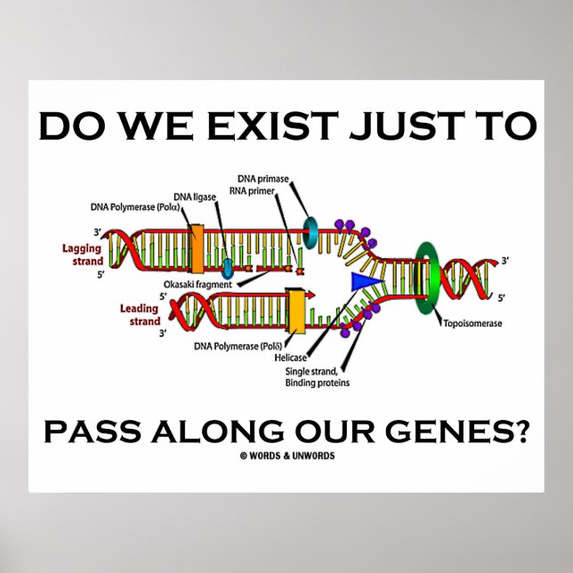 Póster ¿Existimos Solamente Para Pasar Por Nuestros Genes (Frente)