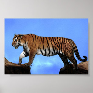 Póster Éxito de los tigres