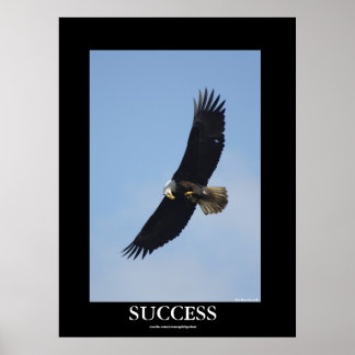 Póster ÉXITO Poster Motivacional del águila calva