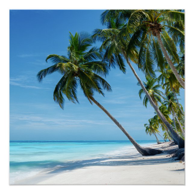 Póster Exotic Palm Beach Turquoise Water Sunny Paradise (Anverso)