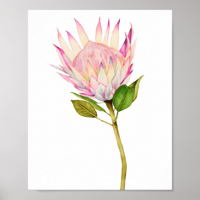 Póster Exotic Pink Floral Watercolor Art (Frente)