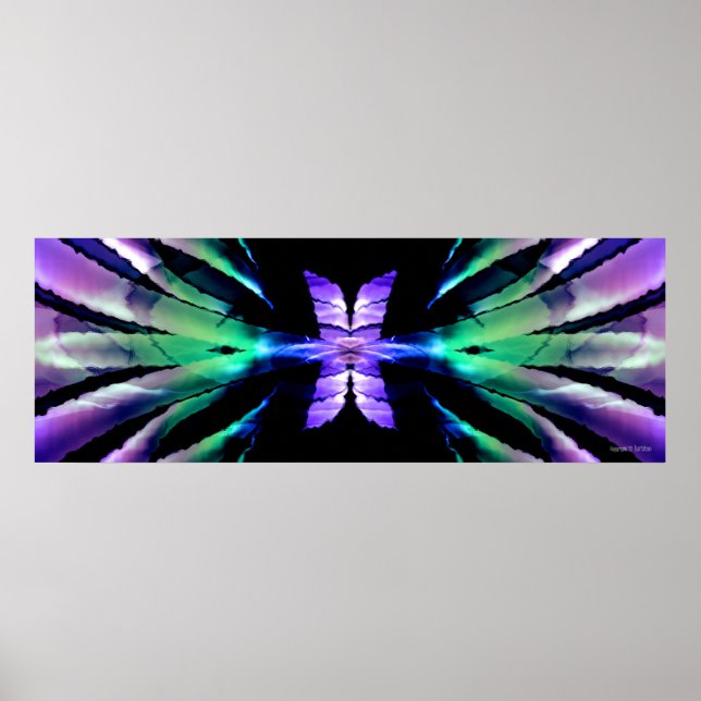 Póster Expansión de mariposa (Frente)
