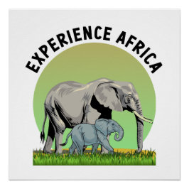 Póster Experiencia en África