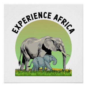 Póster Experiencia en África