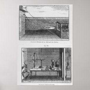 Póster Experiment on frogs by Louis Galvani