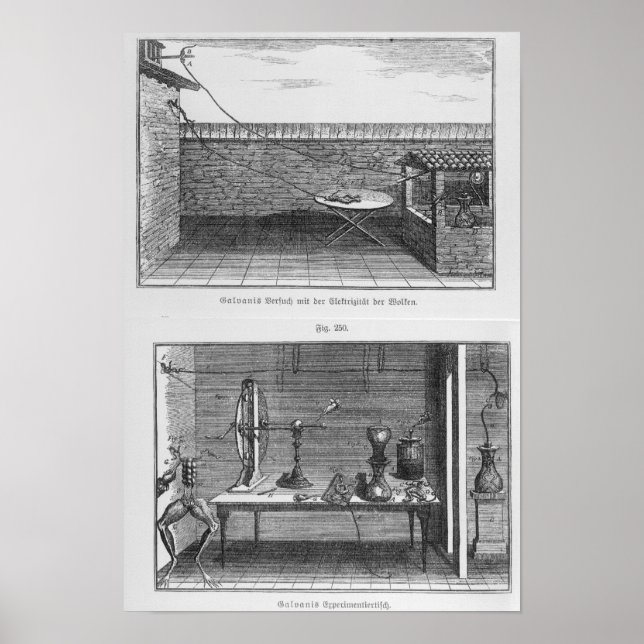 Póster Experiment on frogs by Louis Galvani (Frente)