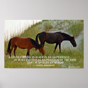 Póster experimente un caballo