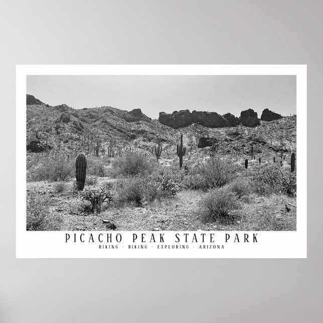 Póster Exploración del Parque Estatal Picacho, en el desi (Frente)