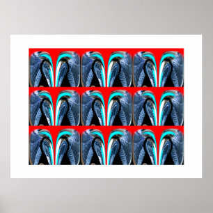 Póster Explorador