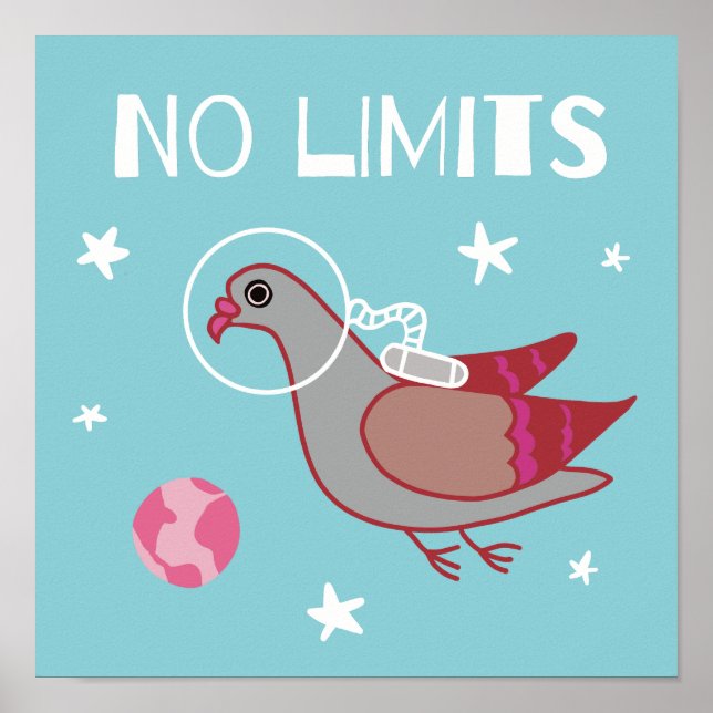 Póster Explorador de espacios de paloma (Frente)