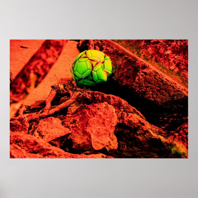 Póster explorador de mosquitos (Frente)