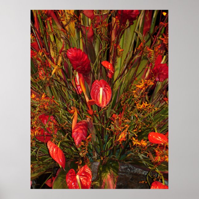 Póster Explosión tropical (Frente)
