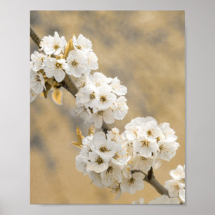 Póster Exposición de naturas sinfónicas de flor