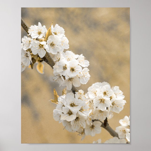 Póster Exposición de naturas sinfónicas de flor (Frente)