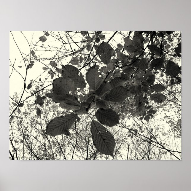 Póster expresión (Frente)