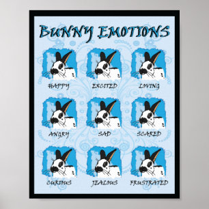 PÓSTER EXPRESIONES SPOT