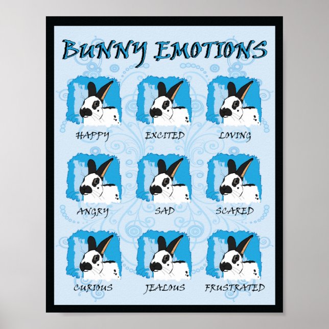 PÓSTER EXPRESIONES SPOT (Frente)