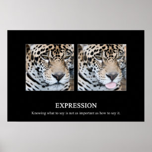 Póster Expression Poster
