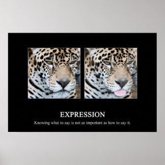 Póster Expression Poster