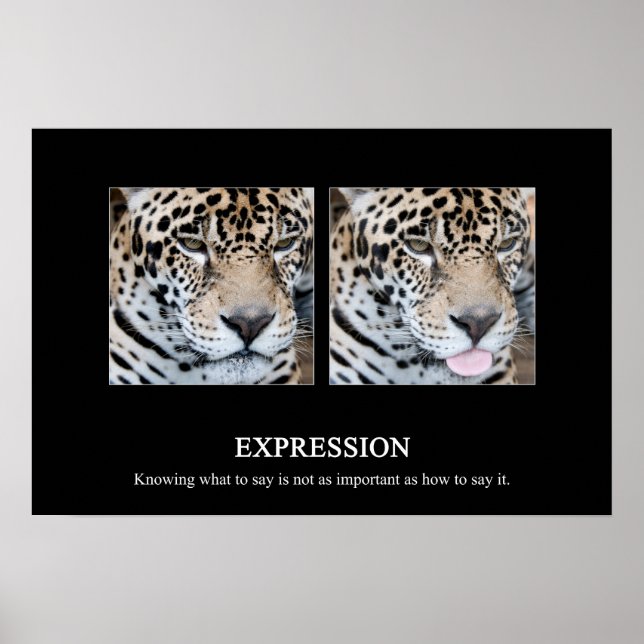 Póster Expression Poster (Frente)